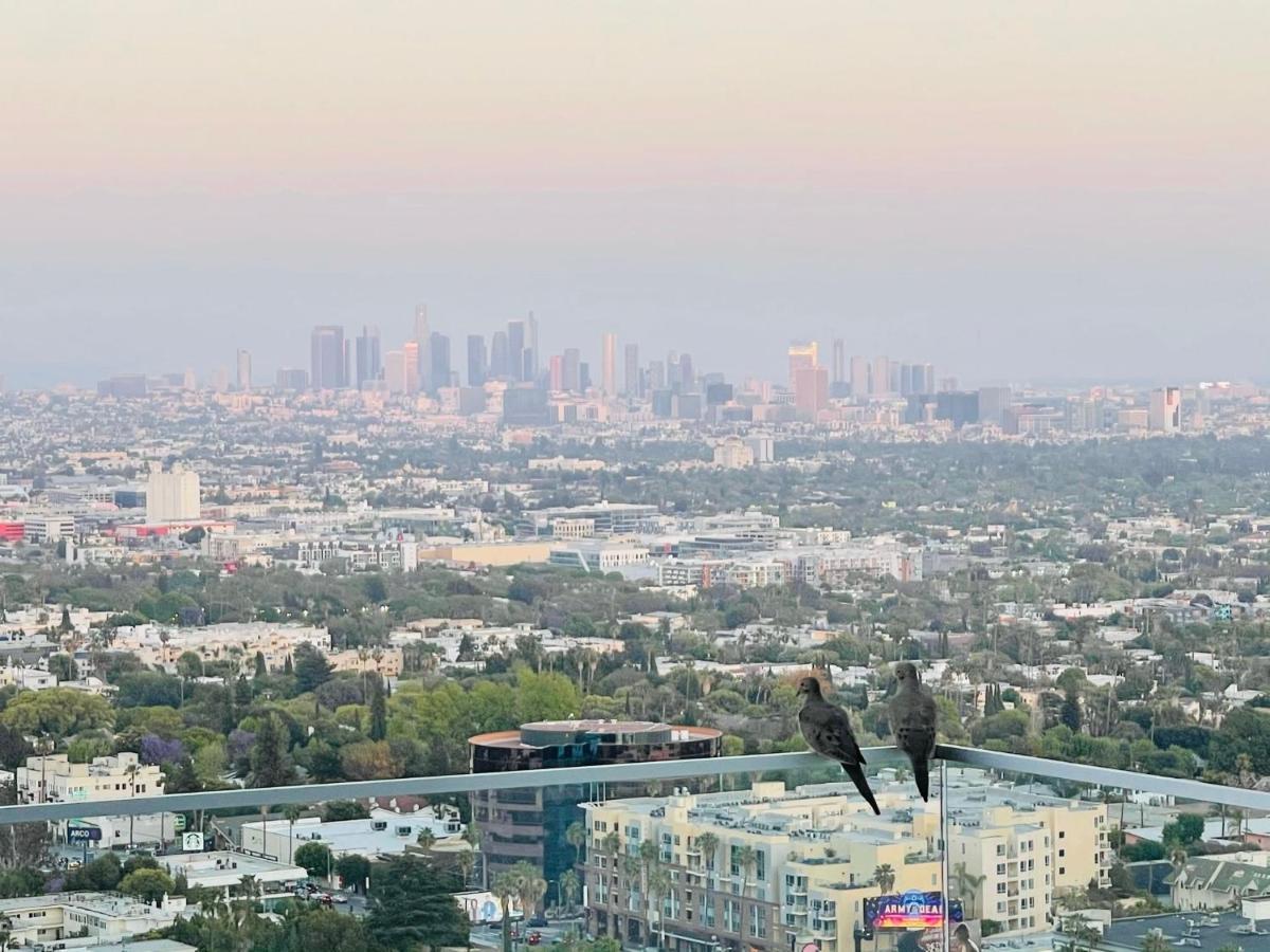 Stunning View Hollywood Hills Guest House Los Angeles Extérieur photo